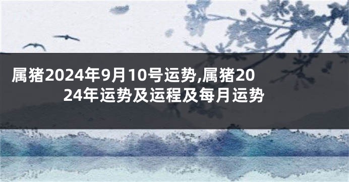 属猪2024年9月10号运势,属猪2024年运势及运程及每月运势