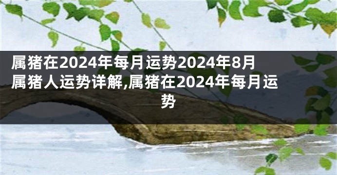 属猪在2024年每月运势2024年8月属猪人运势详解,属猪在2024年每月运势