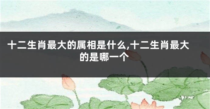 十二生肖最大的属相是什么,十二生肖最大的是哪一个