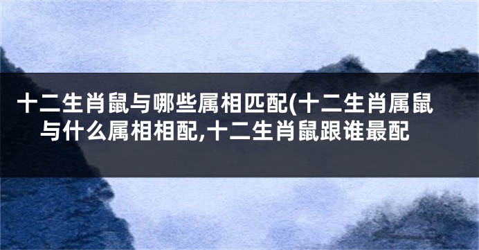 十二生肖鼠与哪些属相匹配(十二生肖属鼠与什么属相相配,十二生肖鼠跟谁最配