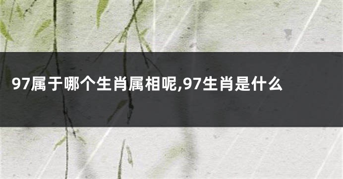 97属于哪个生肖属相呢,97生肖是什么
