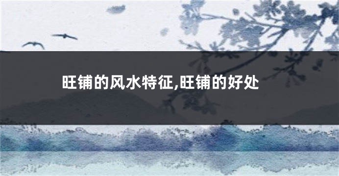 旺铺的风水特征,旺铺的好处