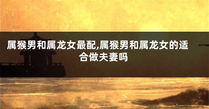 属猴男和属龙女最配,属猴男和属龙女的适合做夫妻吗