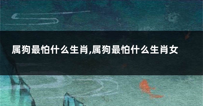 属狗最怕什么生肖,属狗最怕什么生肖女