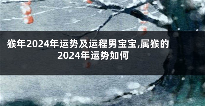 猴年2024年运势及运程男宝宝,属猴的2024年运势如何