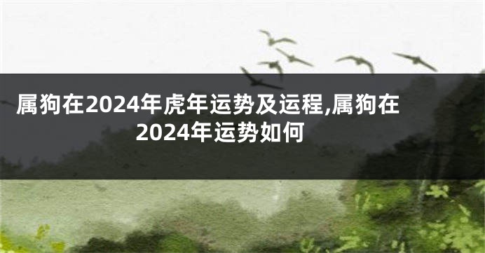 属狗在2024年虎年运势及运程,属狗在2024年运势如何