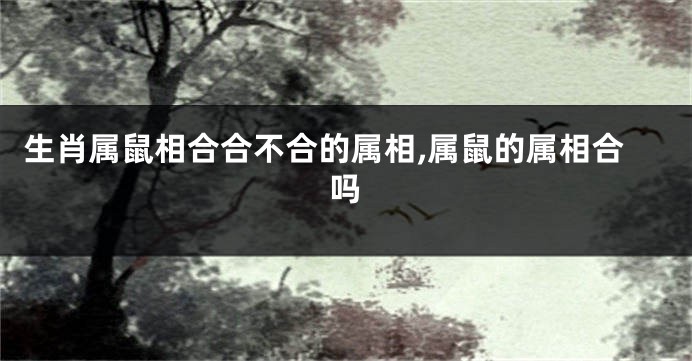 生肖属鼠相合合不合的属相,属鼠的属相合吗