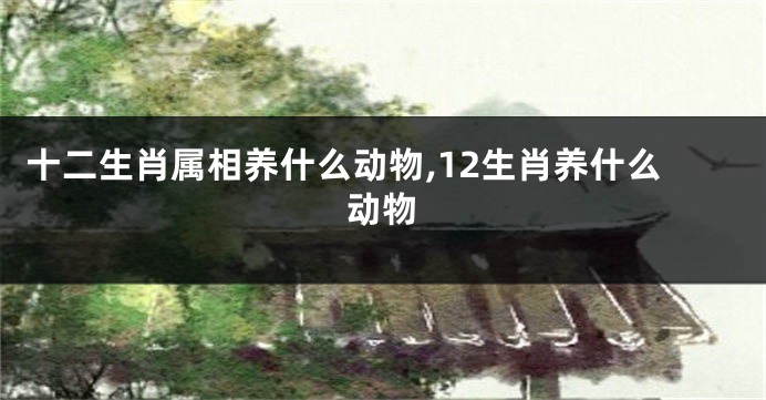 十二生肖属相养什么动物,12生肖养什么动物