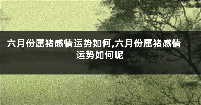 六月份属猪感情运势如何,六月份属猪感情运势如何呢