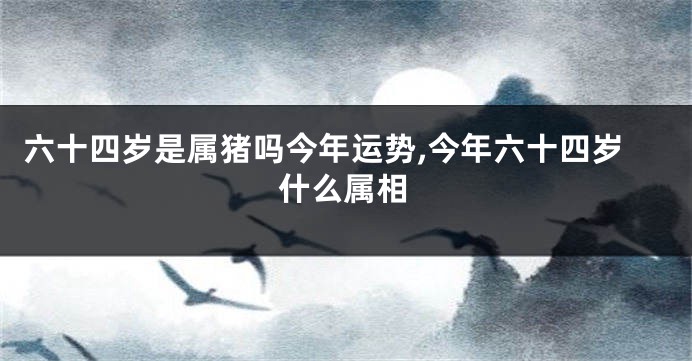 六十四岁是属猪吗今年运势,今年六十四岁什么属相