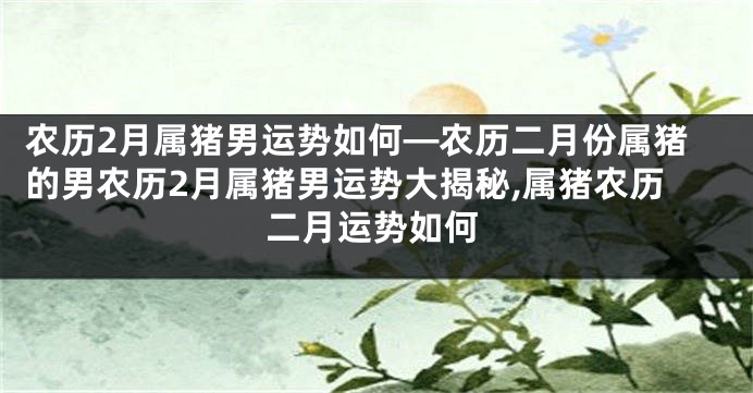 农历2月属猪男运势如何—农历二月份属猪的男农历2月属猪男运势大揭秘,属猪农历二月运势如何