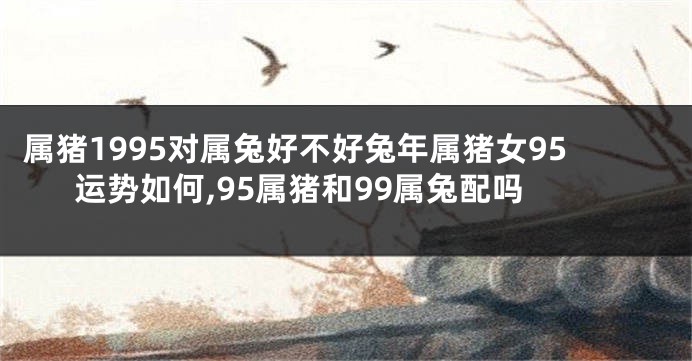属猪1995对属兔好不好兔年属猪女95运势如何,95属猪和99属兔配吗