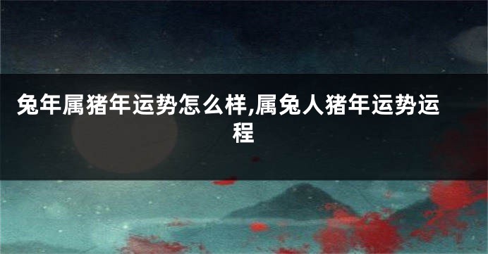 兔年属猪年运势怎么样,属兔人猪年运势运程