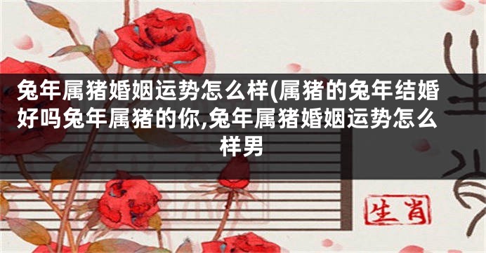 兔年属猪婚姻运势怎么样(属猪的兔年结婚好吗兔年属猪的你,兔年属猪婚姻运势怎么样男