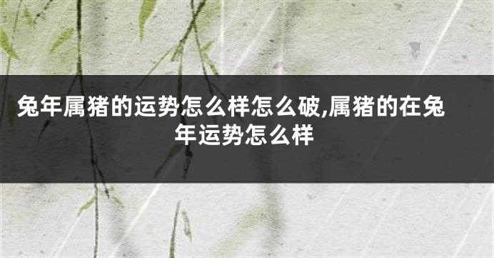 兔年属猪的运势怎么样怎么破,属猪的在兔年运势怎么样