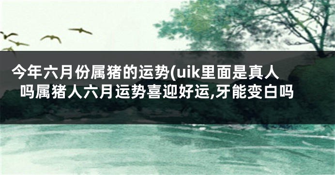 今年六月份属猪的运势(uik里面是真人吗属猪人六月运势喜迎好运,牙能变白吗