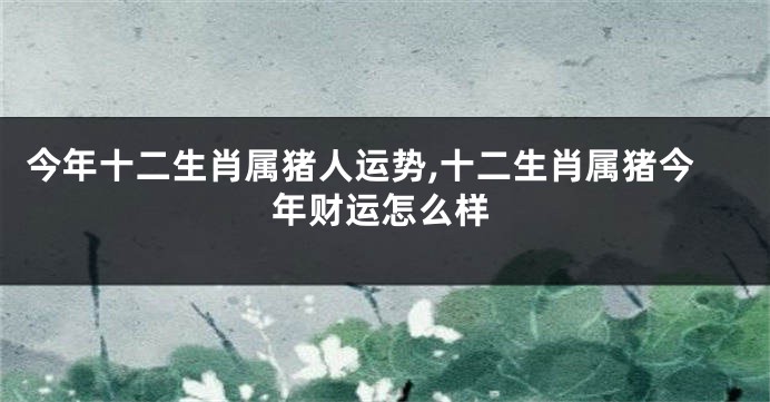 今年十二生肖属猪人运势,十二生肖属猪今年财运怎么样