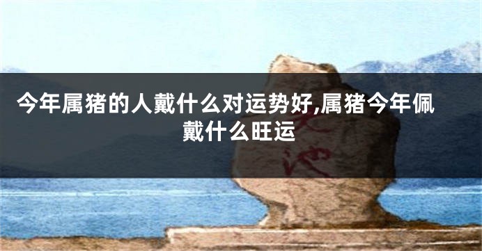 今年属猪的人戴什么对运势好,属猪今年佩戴什么旺运