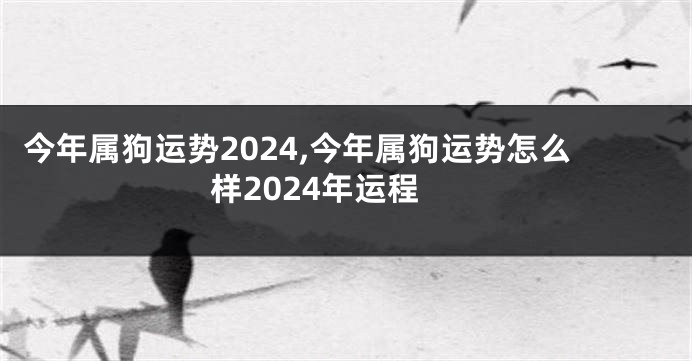 今年属狗运势2024,今年属狗运势怎么样2024年运程
