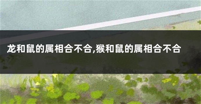 龙和鼠的属相合不合,猴和鼠的属相合不合