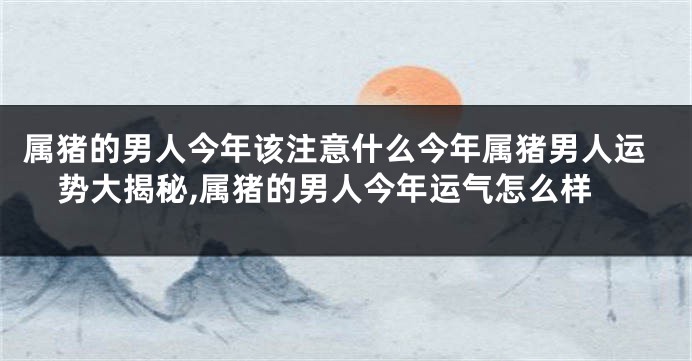 属猪的男人今年该注意什么今年属猪男人运势大揭秘,属猪的男人今年运气怎么样