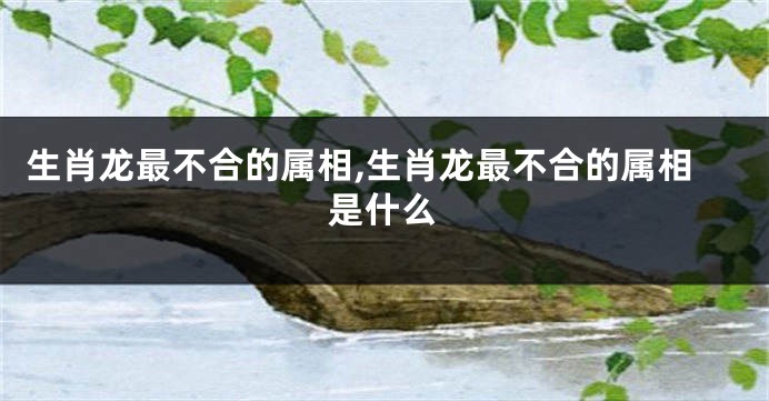 生肖龙最不合的属相,生肖龙最不合的属相是什么