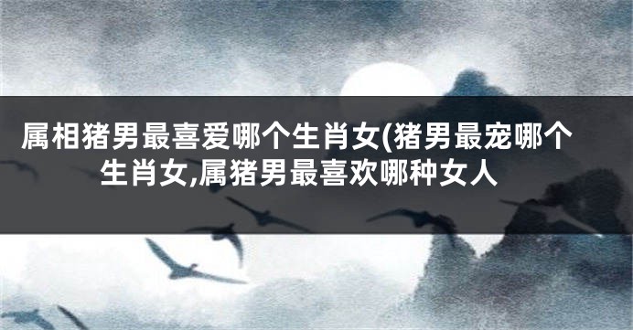 属相猪男最喜爱哪个生肖女(猪男最宠哪个生肖女,属猪男最喜欢哪种女人