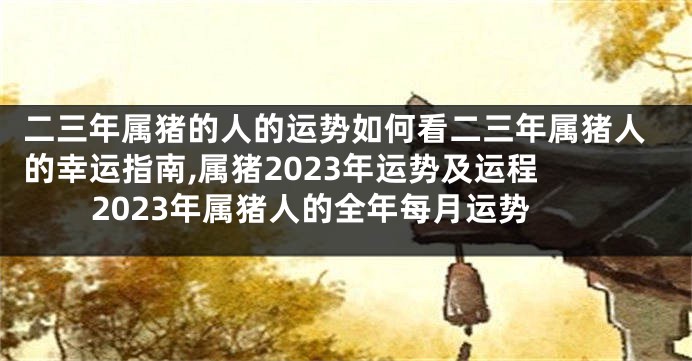 二三年属猪的人的运势如何看二三年属猪人的幸运指南,属猪2023年运势及运程 2023年属猪人的全年每月运势
