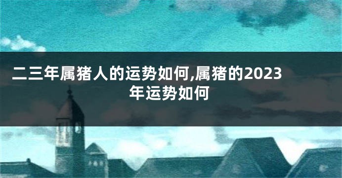 二三年属猪人的运势如何,属猪的2023年运势如何