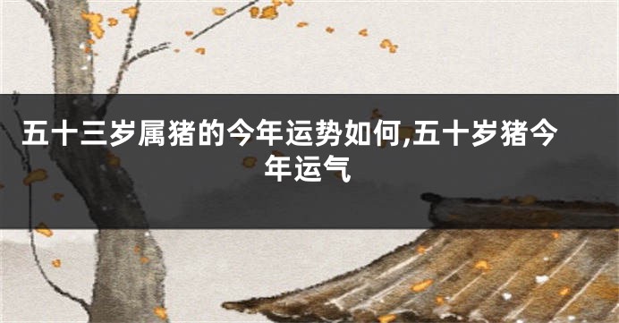 五十三岁属猪的今年运势如何,五十岁猪今年运气