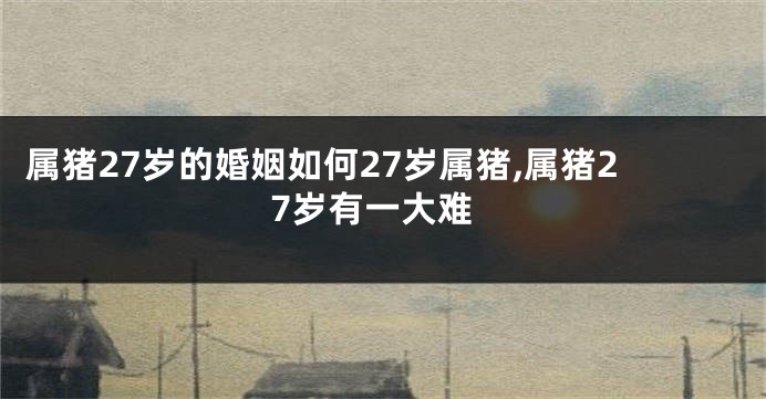 属猪27岁的婚姻如何27岁属猪,属猪27岁有一大难