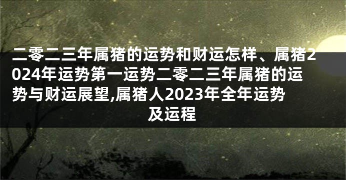 二零二三年属猪的运势和财运怎样、属猪2024年运势第一运势二零二三年属猪的运势与财运展望,属猪人2023年全年运势及运程