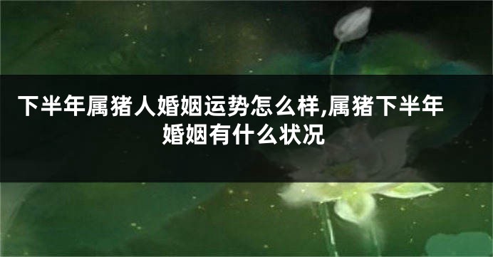 下半年属猪人婚姻运势怎么样,属猪下半年婚姻有什么状况