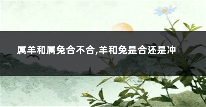 属羊和属兔合不合,羊和兔是合还是冲