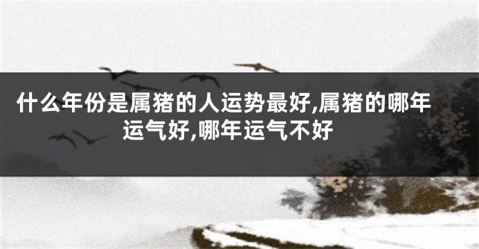 什么年份是属猪的人运势最好,属猪的哪年运气好,哪年运气不好