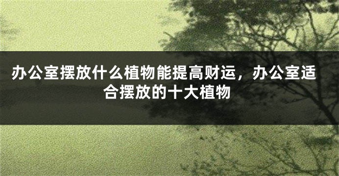 办公室摆放什么植物能提高财运，办公室适合摆放的十大植物