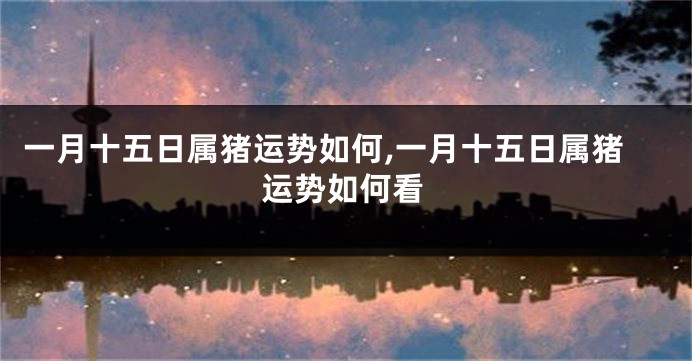 一月十五日属猪运势如何,一月十五日属猪运势如何看