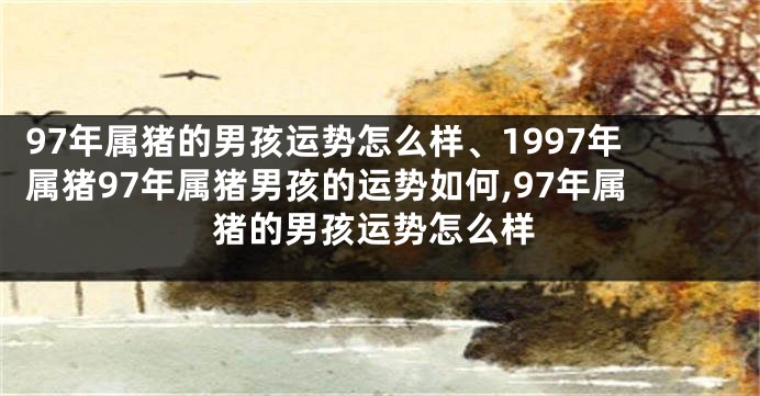 97年属猪的男孩运势怎么样、1997年属猪97年属猪男孩的运势如何,97年属猪的男孩运势怎么样