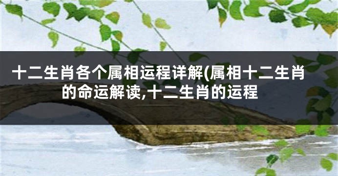 十二生肖各个属相运程详解(属相十二生肖的命运解读,十二生肖的运程