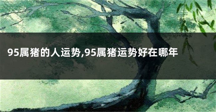 95属猪的人运势,95属猪运势好在哪年