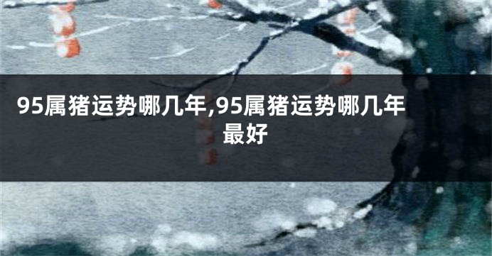 95属猪运势哪几年,95属猪运势哪几年最好