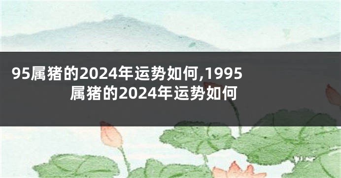 95属猪的2024年运势如何,1995属猪的2024年运势如何