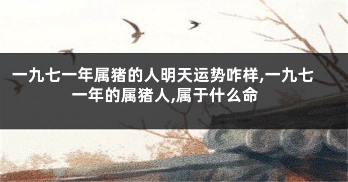 一九七一年属猪的人明天运势咋样,一九七一年的属猪人,属于什么命