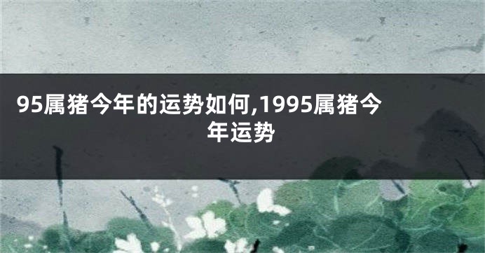 95属猪今年的运势如何,1995属猪今年运势