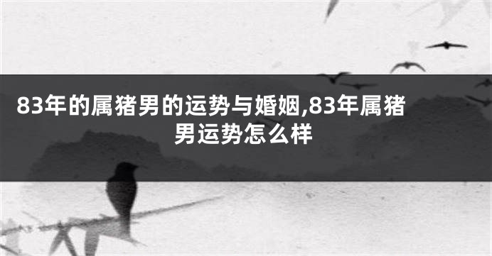 83年的属猪男的运势与婚姻,83年属猪男运势怎么样