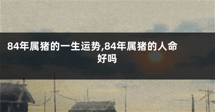 84年属猪的一生运势,84年属猪的人命好吗