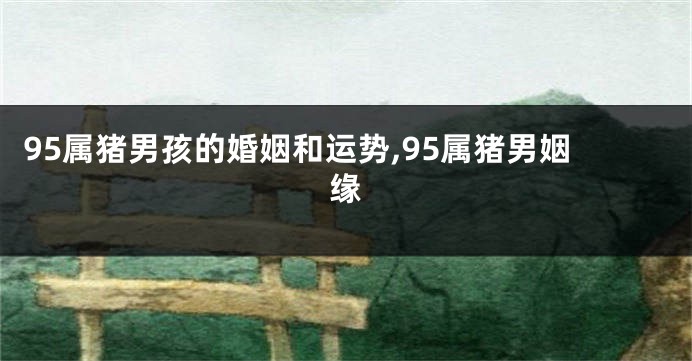 95属猪男孩的婚姻和运势,95属猪男姻缘