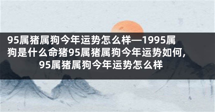 95属猪属狗今年运势怎么样—1995属狗是什么命猪95属猪属狗今年运势如何,95属猪属狗今年运势怎么样