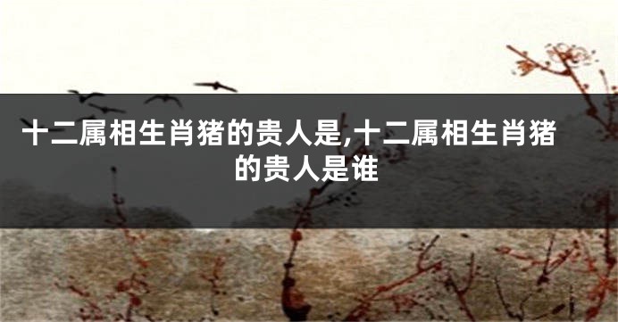 十二属相生肖猪的贵人是,十二属相生肖猪的贵人是谁