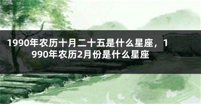 1990年农历十月二十五是什么星座，1990年农历2月份是什么星座